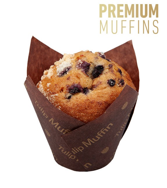 blueberry-muffin.jpg