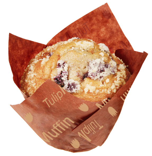 Muffin with Blueberriesa.png